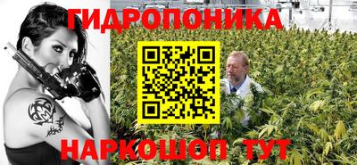хмурый Тула